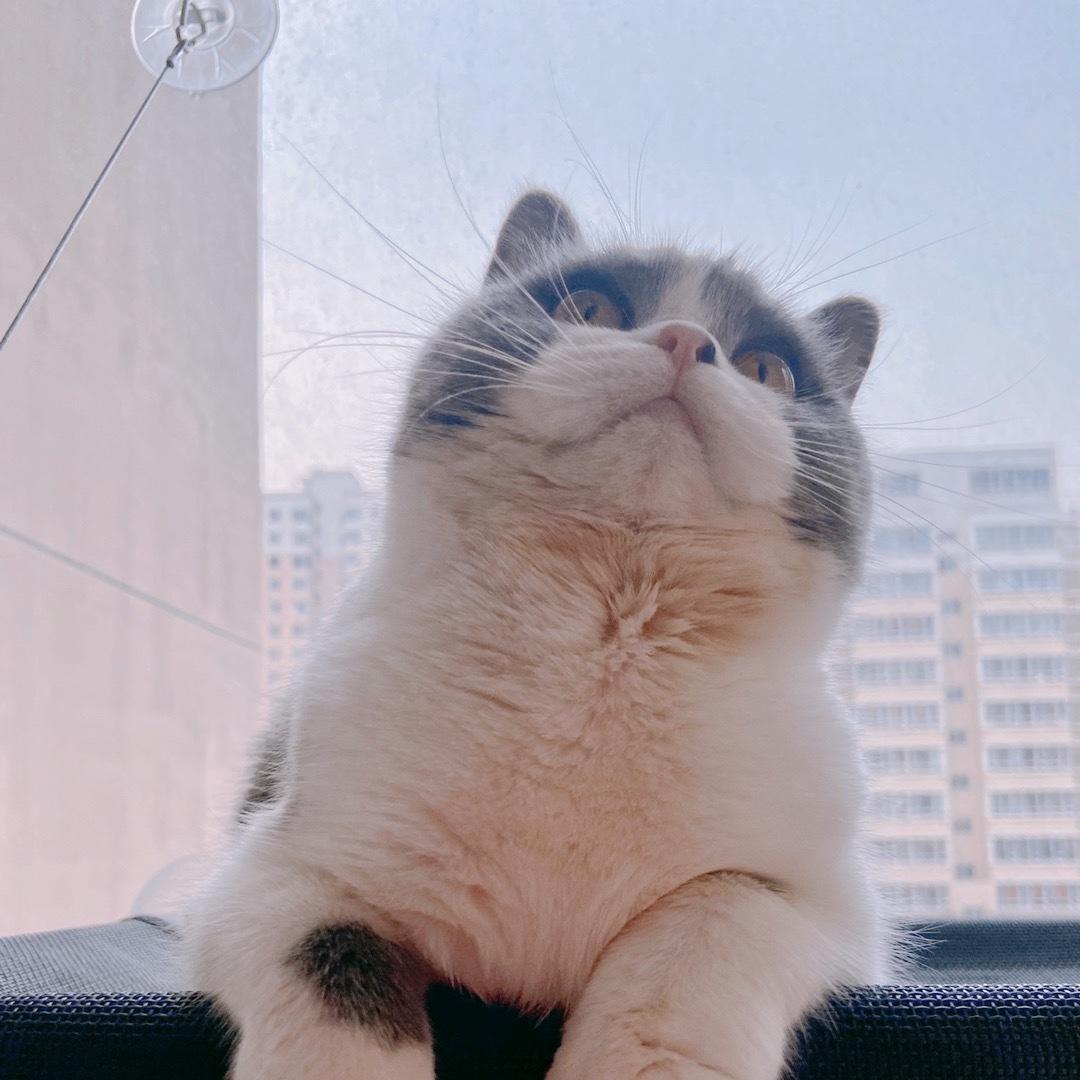 就是明明呀