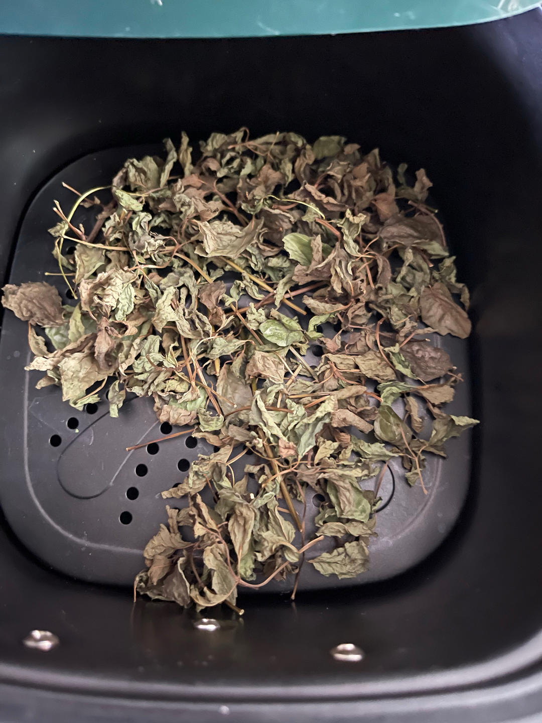 新鲜薄荷叶保存方法的做法 步骤6