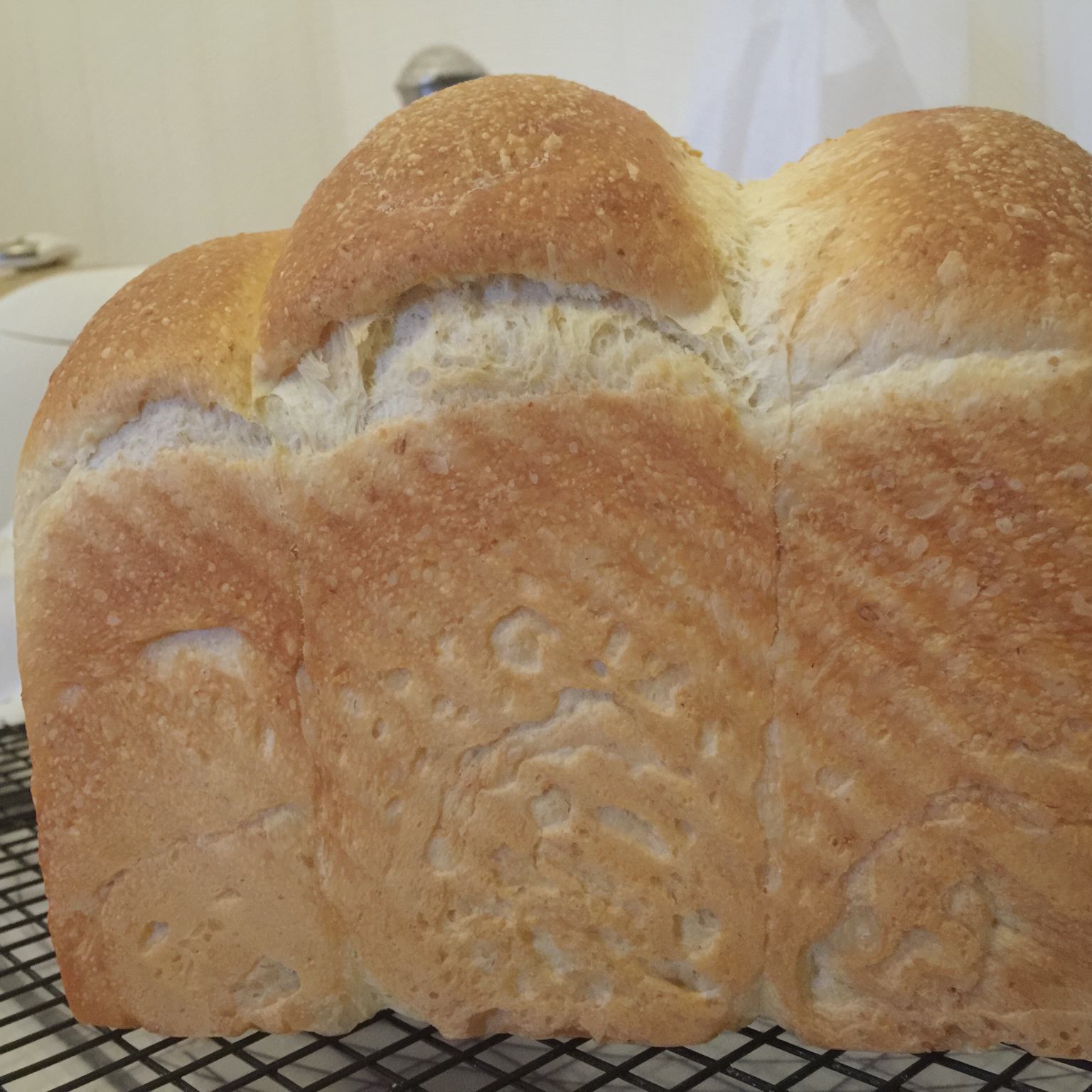 100％中种牛奶吐司