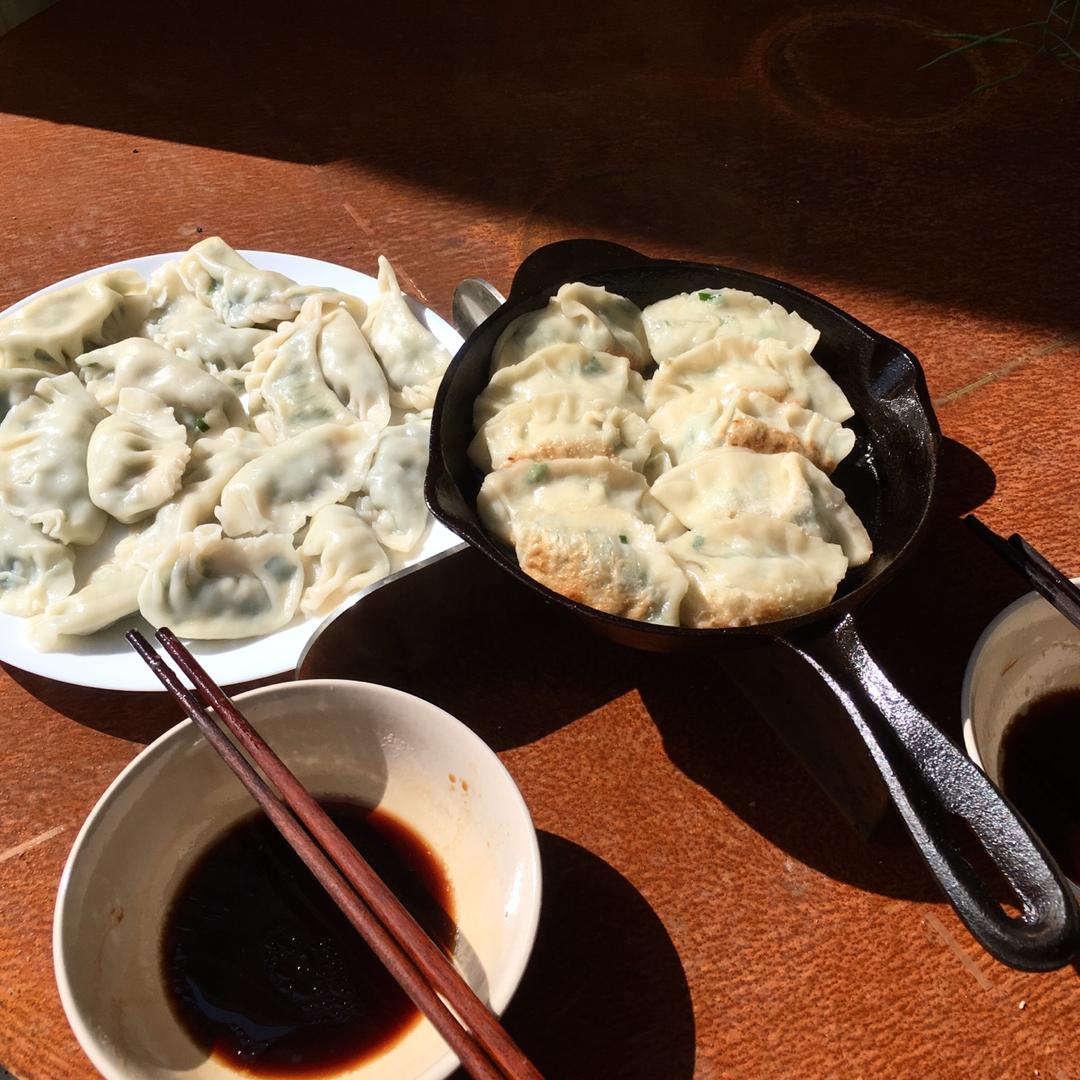 猪肉韭菜饺子