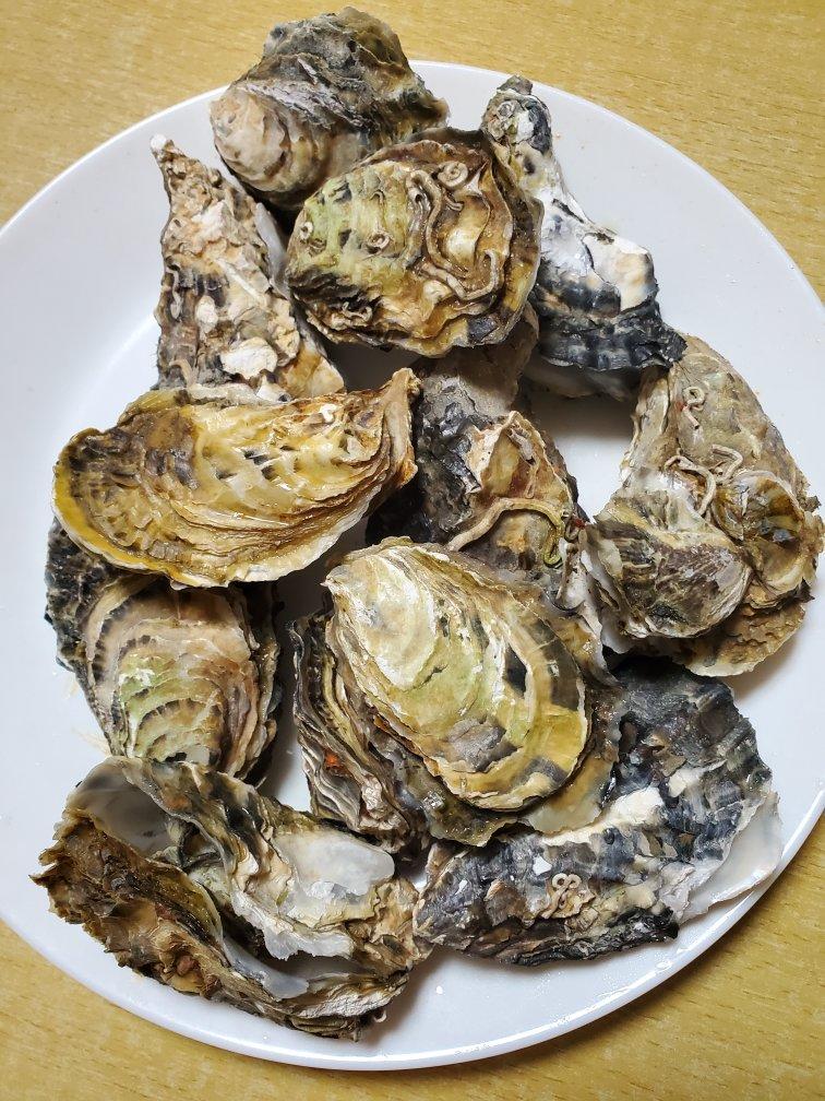 吃生蚝原味才是最鲜的
