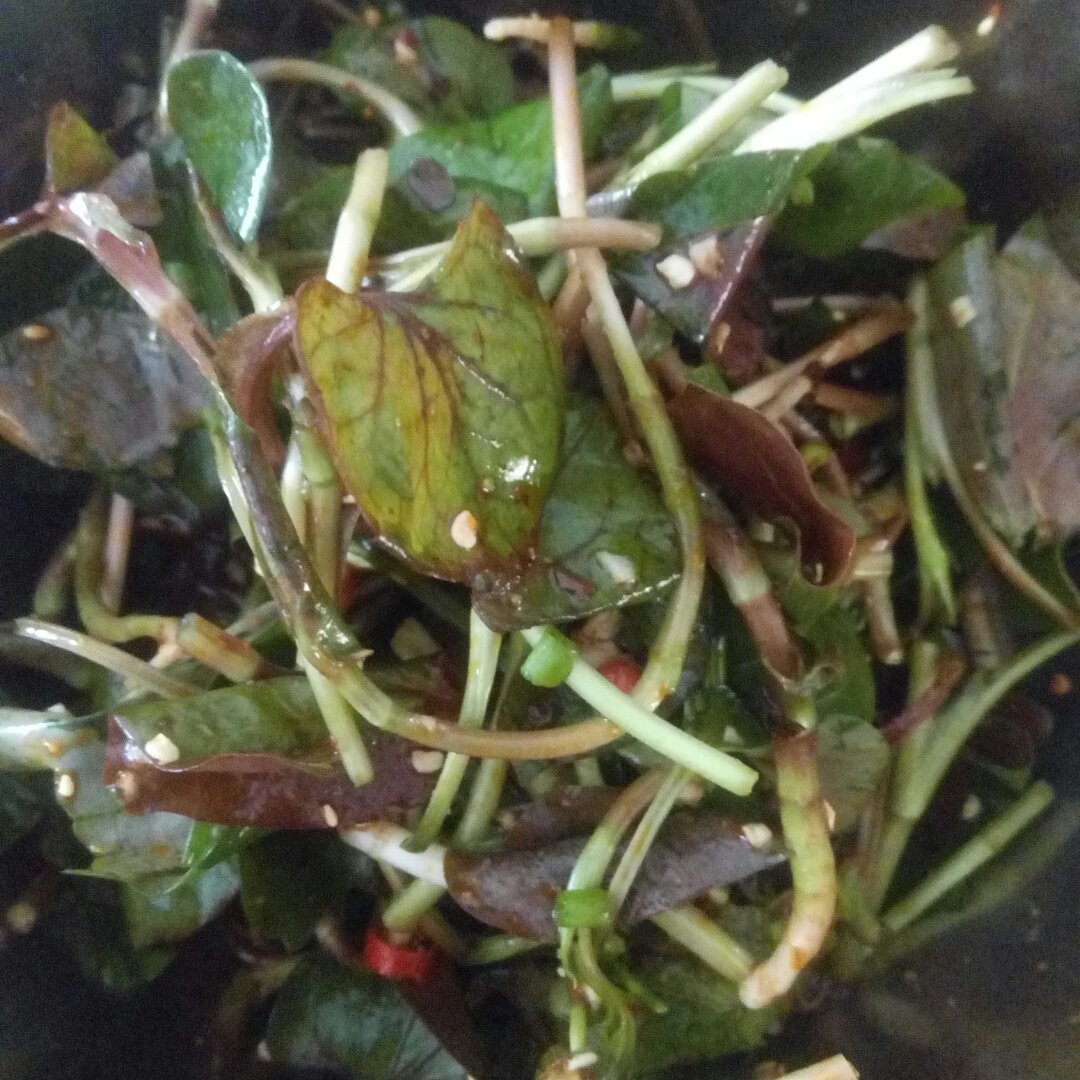 凉拌折耳根