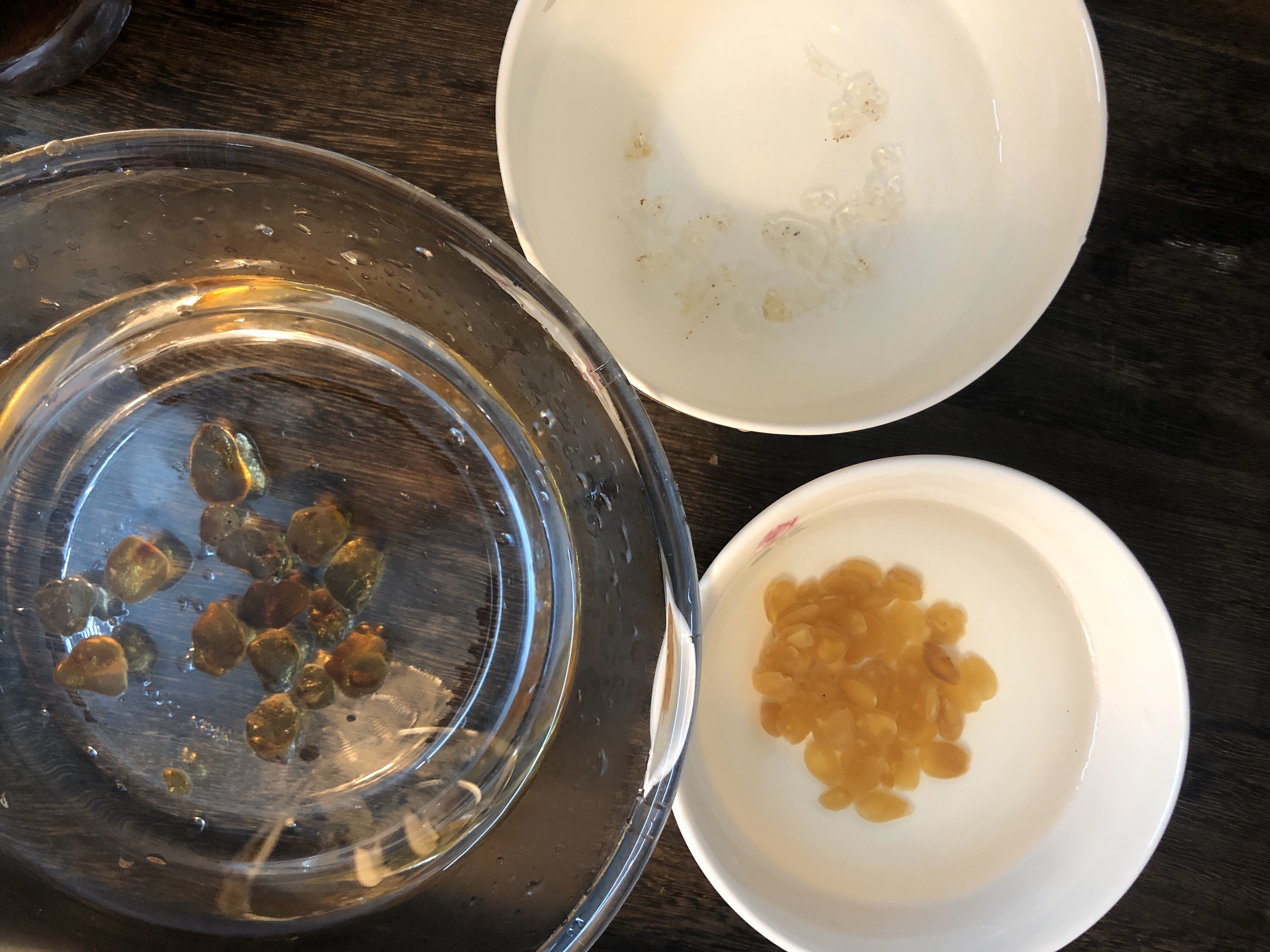 一碗美容养颜的桃胶皂角米雪燕炖红糖奶的做法 步骤1