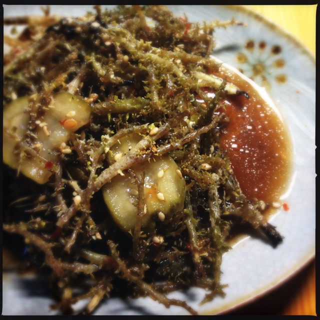 ok绷小姐做的凉拌鹿角菜