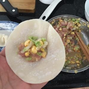 玉米白菜猪肉饺的做法 步骤5