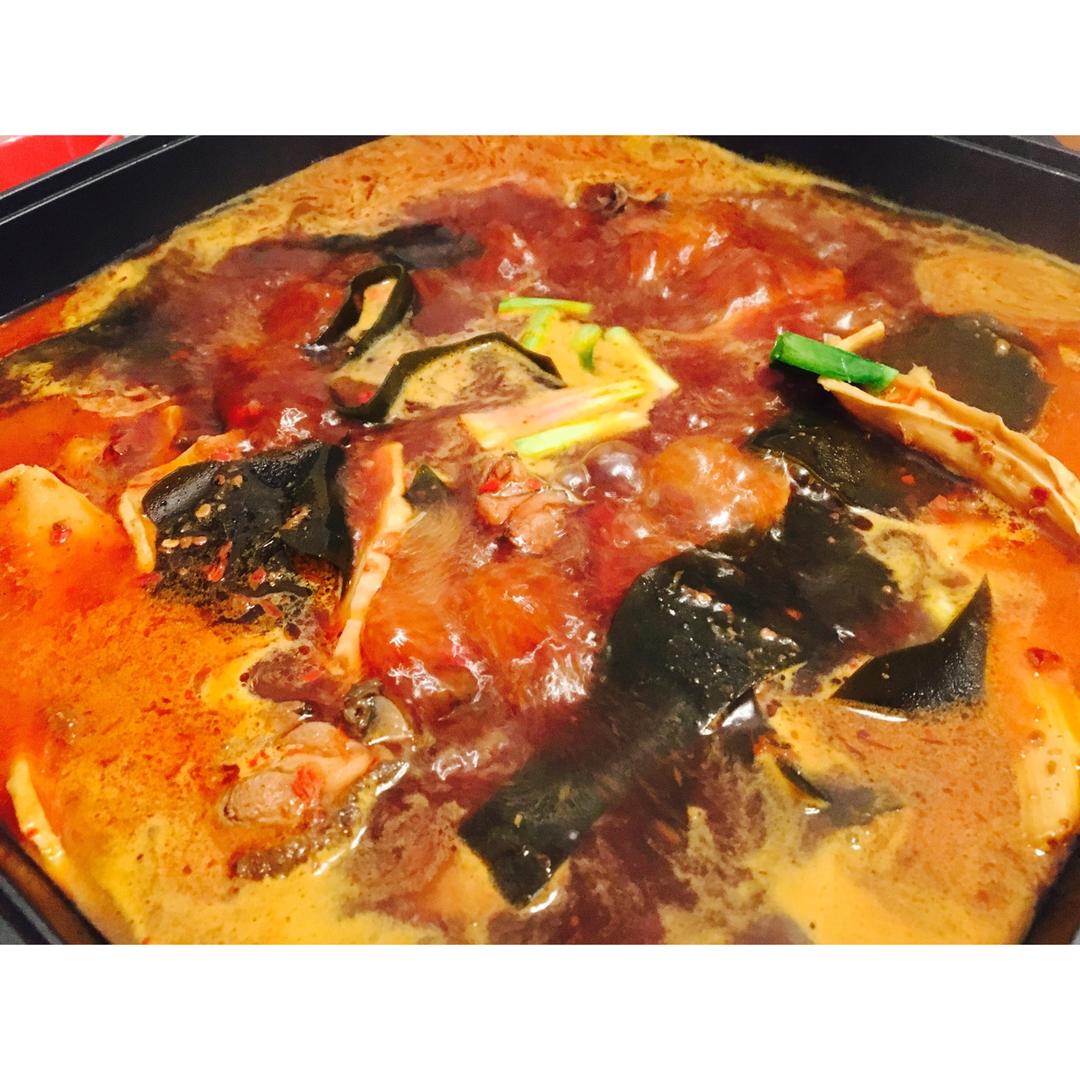 杂食