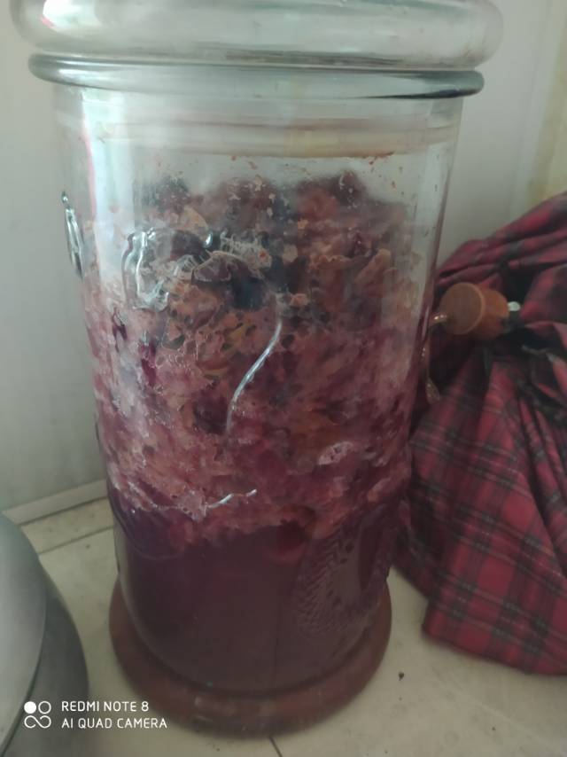 🍇葡萄酒自酿🍇留住夏天的味道