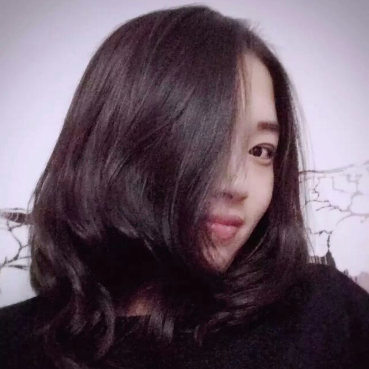 爱猫的喵小姐