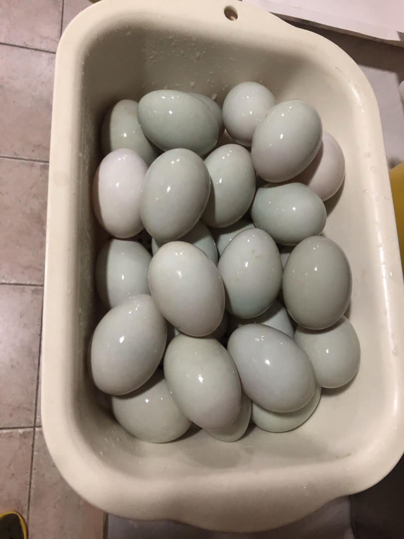 广式莲蓉蛋黄月饼【9月北鼎烤箱食谱】