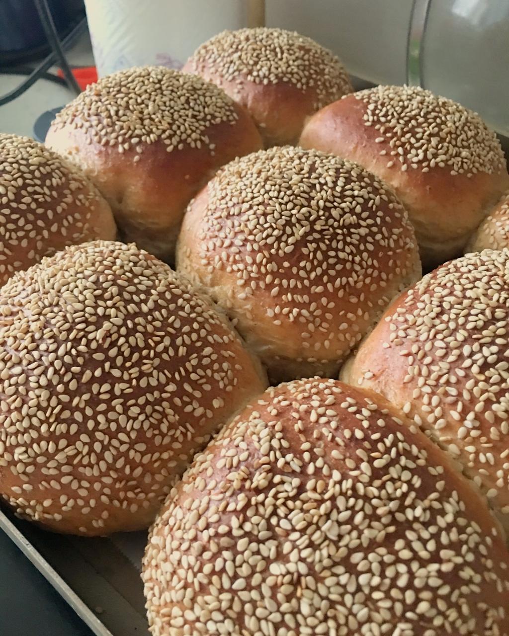 全麦小餐包