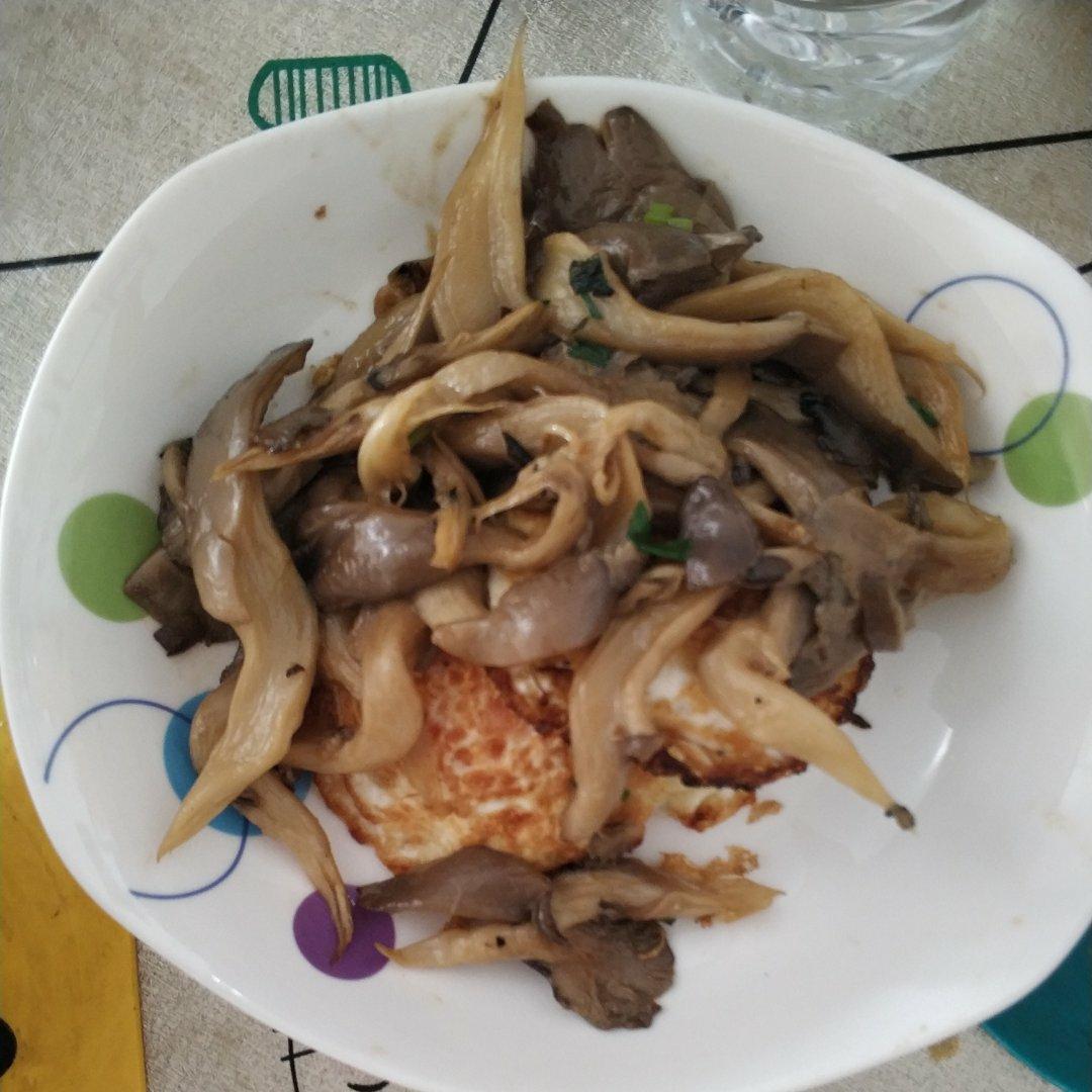 蘑菇炒鸡蛋	平菇这样炒，鲜美无比巨好吃