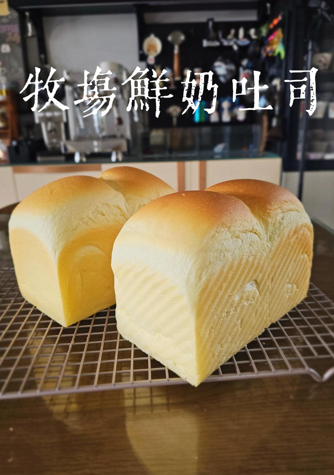 牧场鲜奶吐司🍞｜一次发酵｜吴克己老师经典吐司