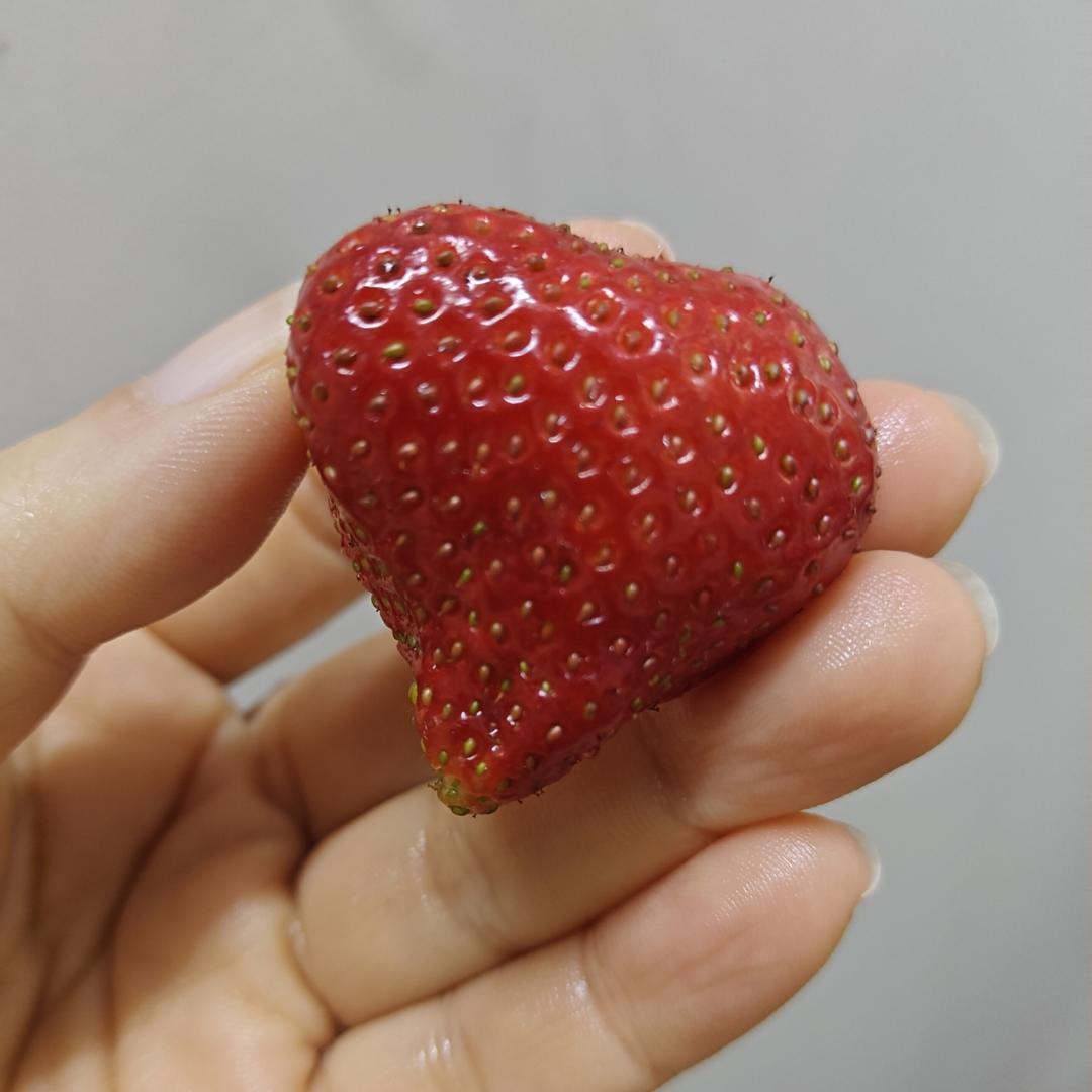 《Tinrry下午茶》番外篇-满满果肉的草莓果酱