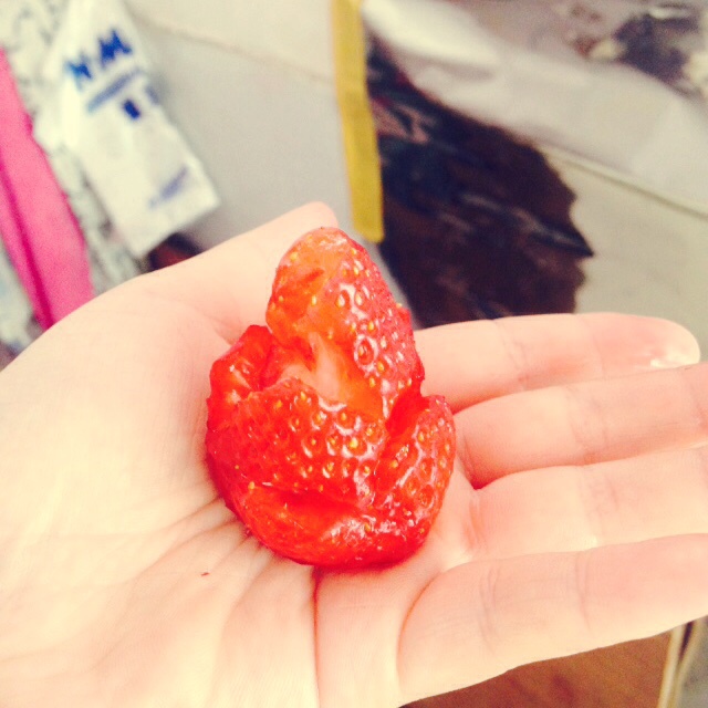 草莓玫瑰花