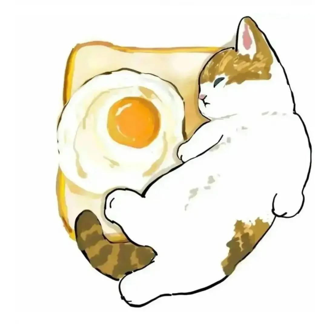 cn花烛
