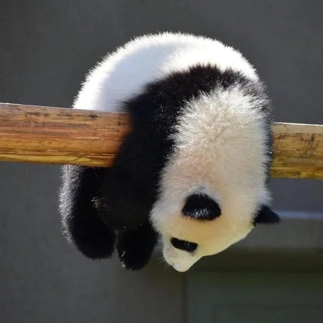0幻墨如烟