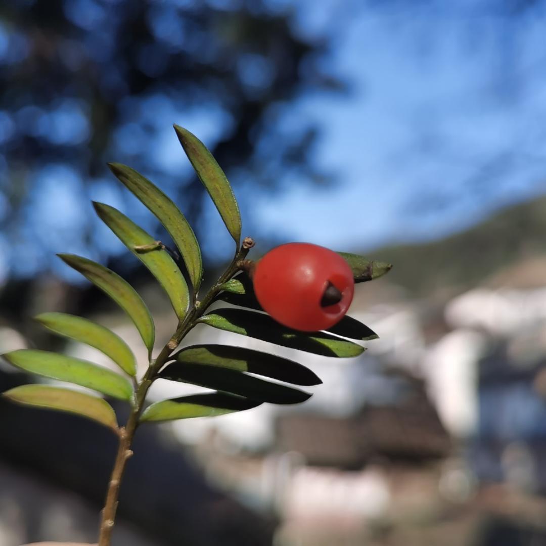 下厨房用户_6ast