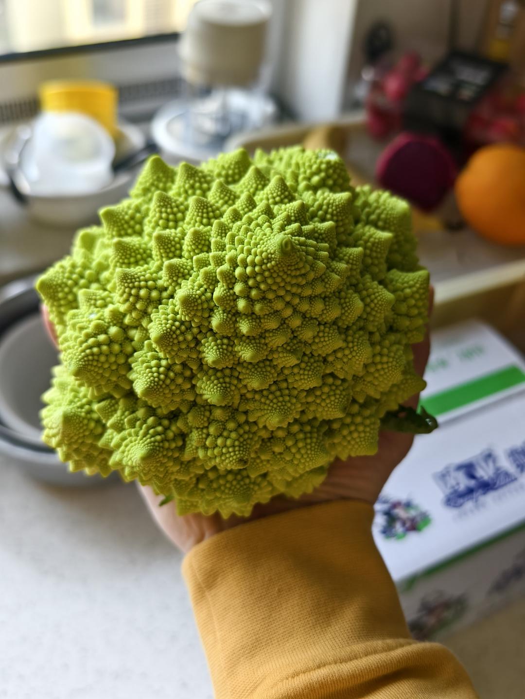 耗油罗马花椰菜