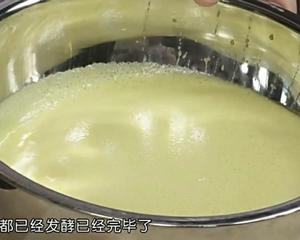 古法马拉糕（酵母+泡打粉）的做法 步骤5