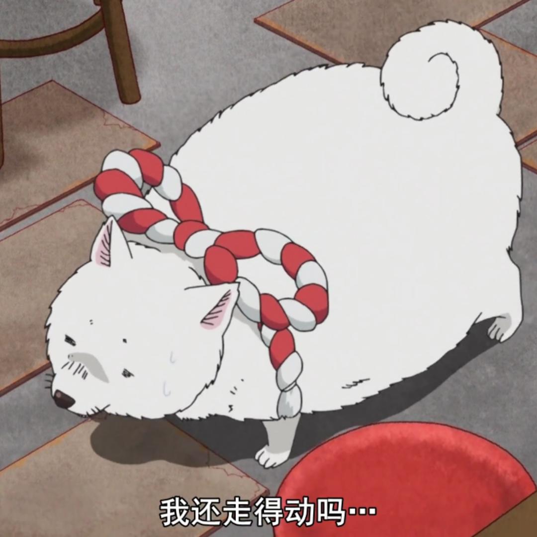 牙牙aa