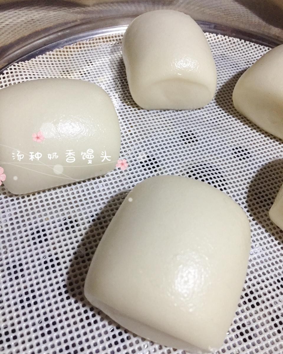 汤种奶香馒头（超柔软）