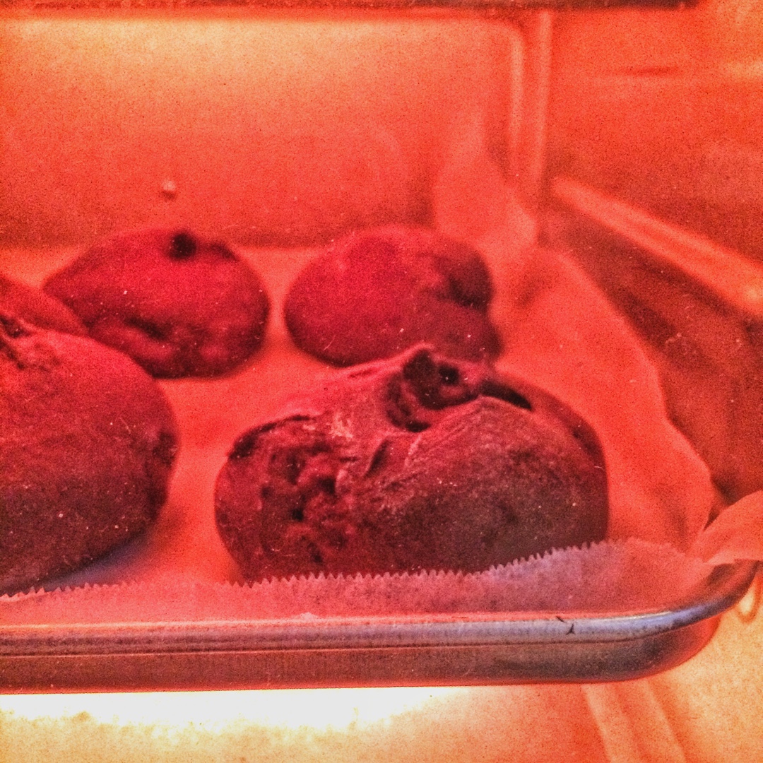 可可蔓越梅软欧~天然酵种(波兰种)