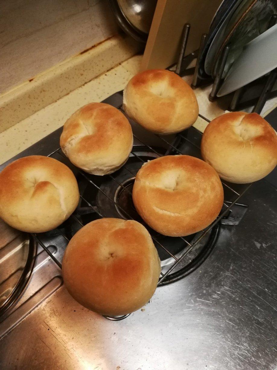 9升烤箱的食物探索