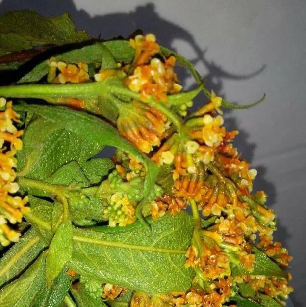 黄花社饭的做法