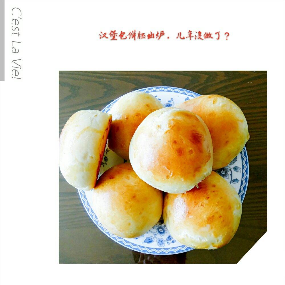 汉堡（基础汉堡胚做法）