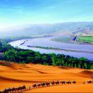 手机用户5081_rlz8