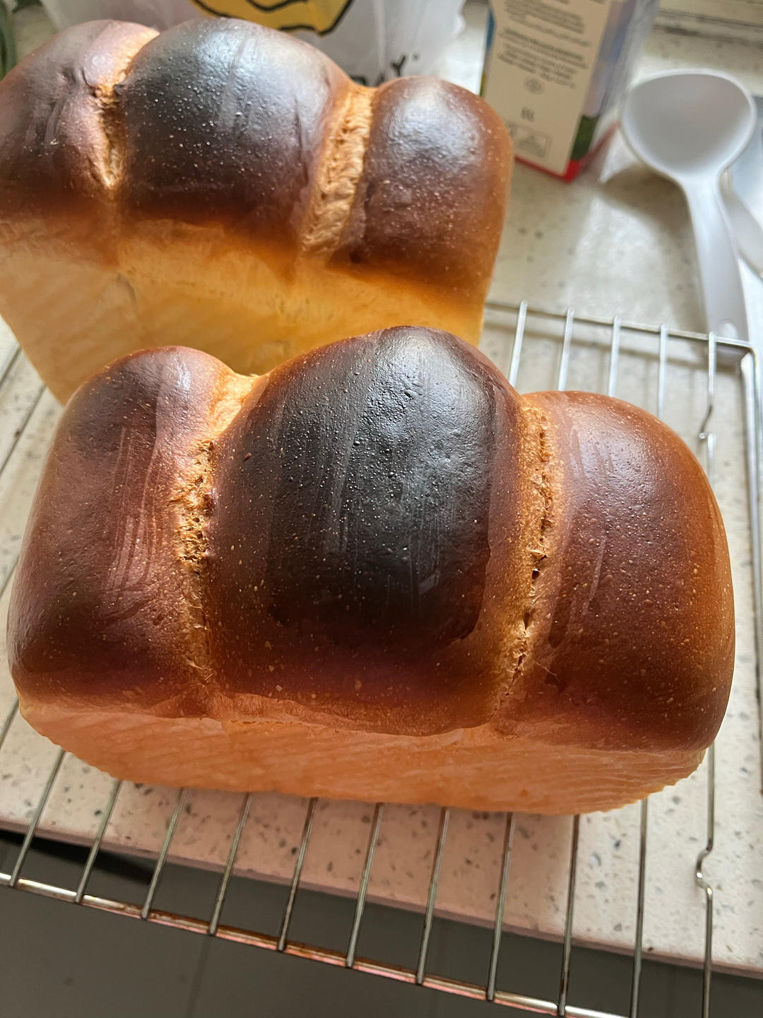 50%中种北海道吐司，柔软拉丝，奶香浓郁！