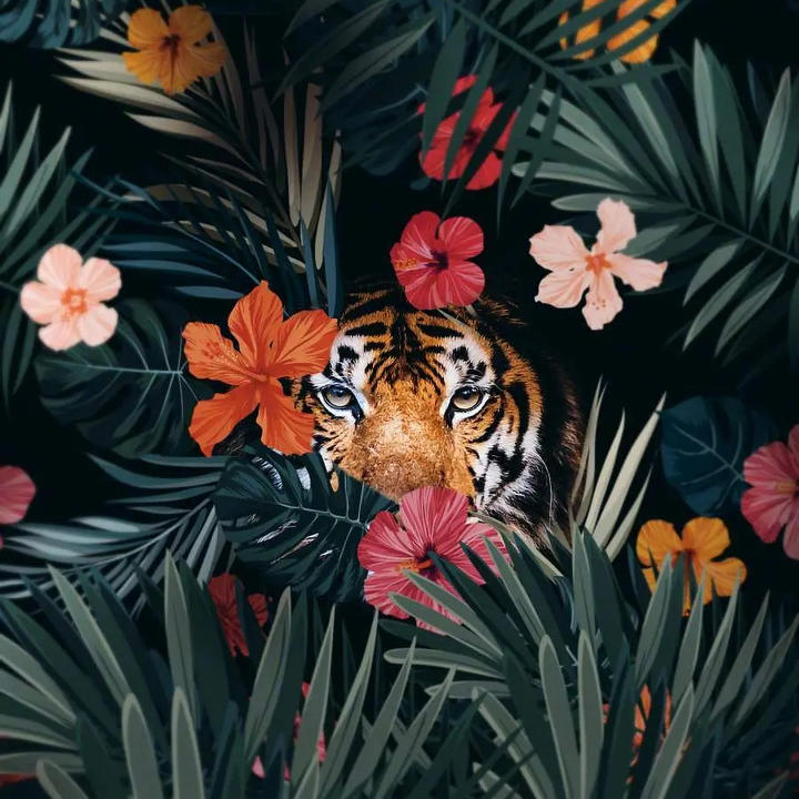 六元一次方程组