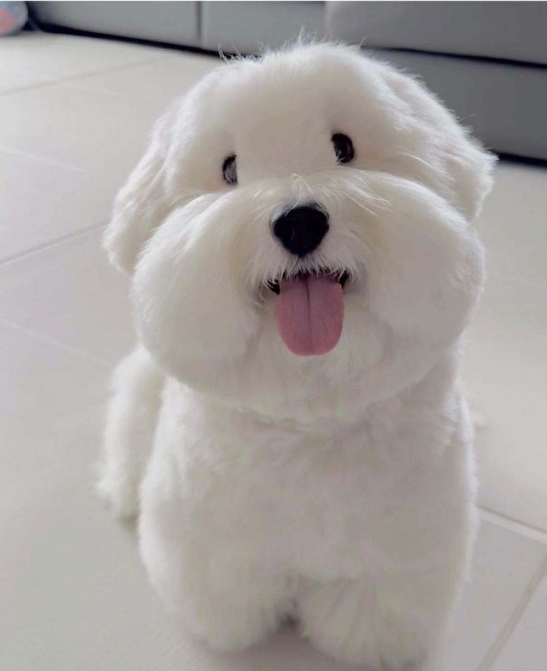 下厨房用户_njxse