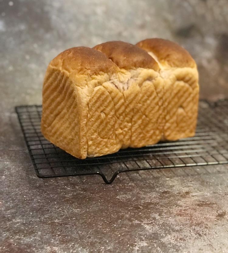 团长的汤种吐司（小餐包通用的万能配方）