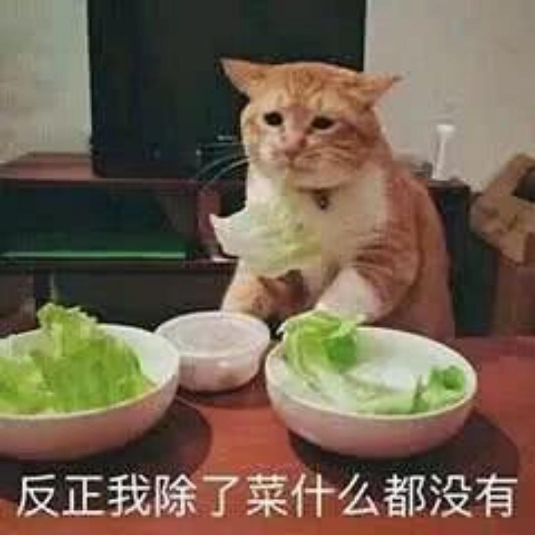 兔兔已饿死