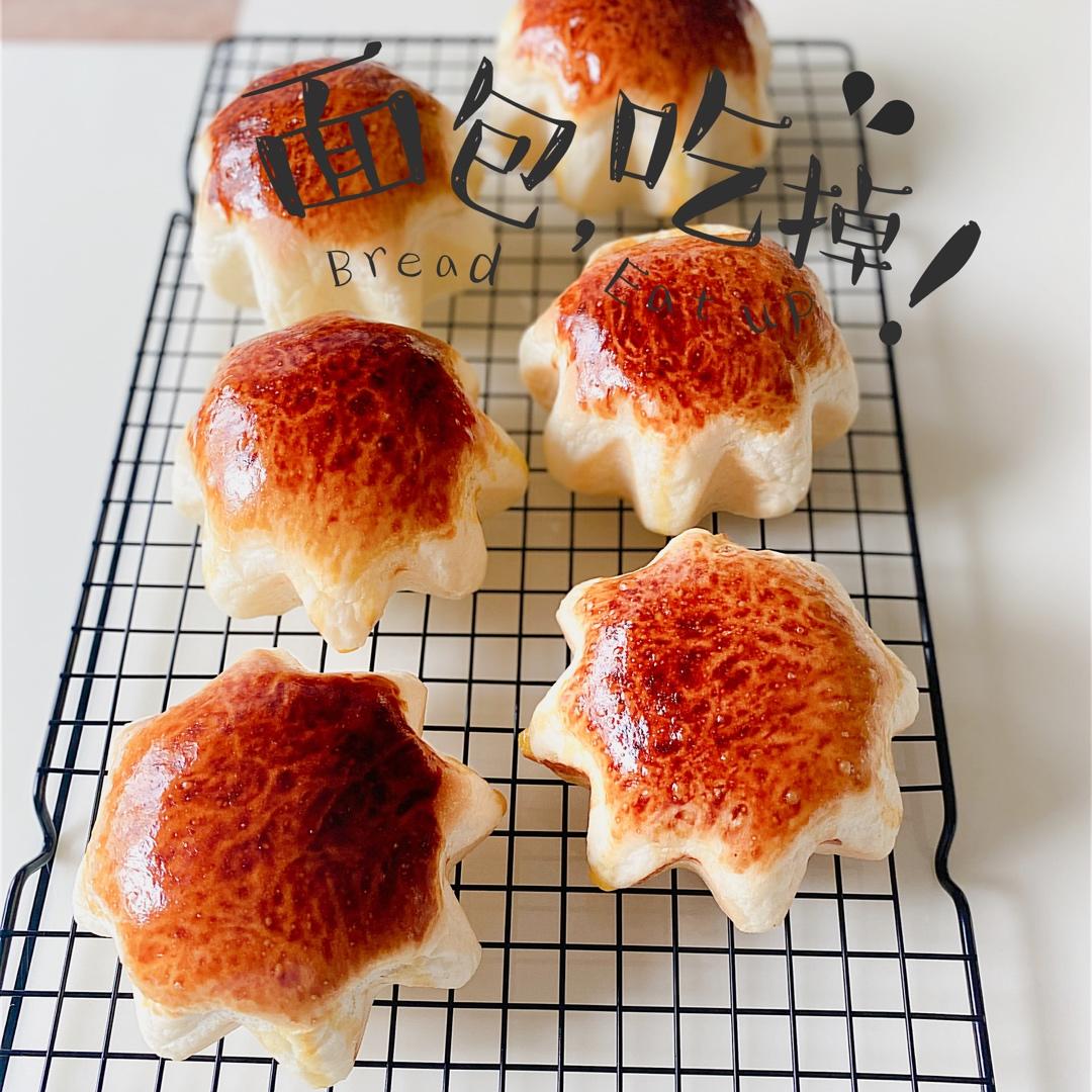 葱香肉松墨西哥面包（波兰种+烫种）