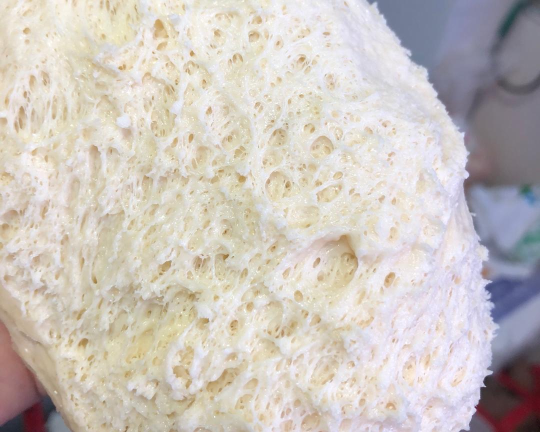 万能面团，上班族懒人必知100%中种冷藏发酵面团的做法