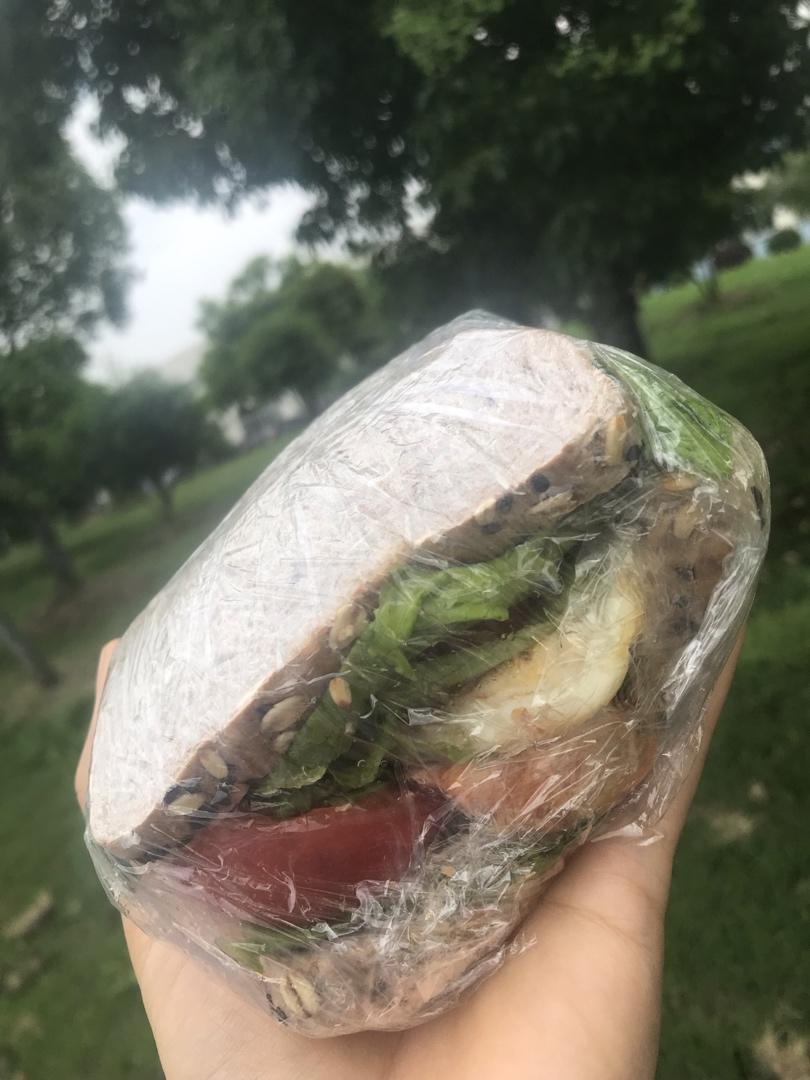 减肥期间饮食记录