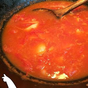西红柿牛腩锅仔的做法 步骤3