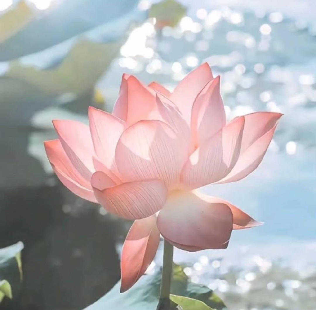 爱吃饭的乖宝宝