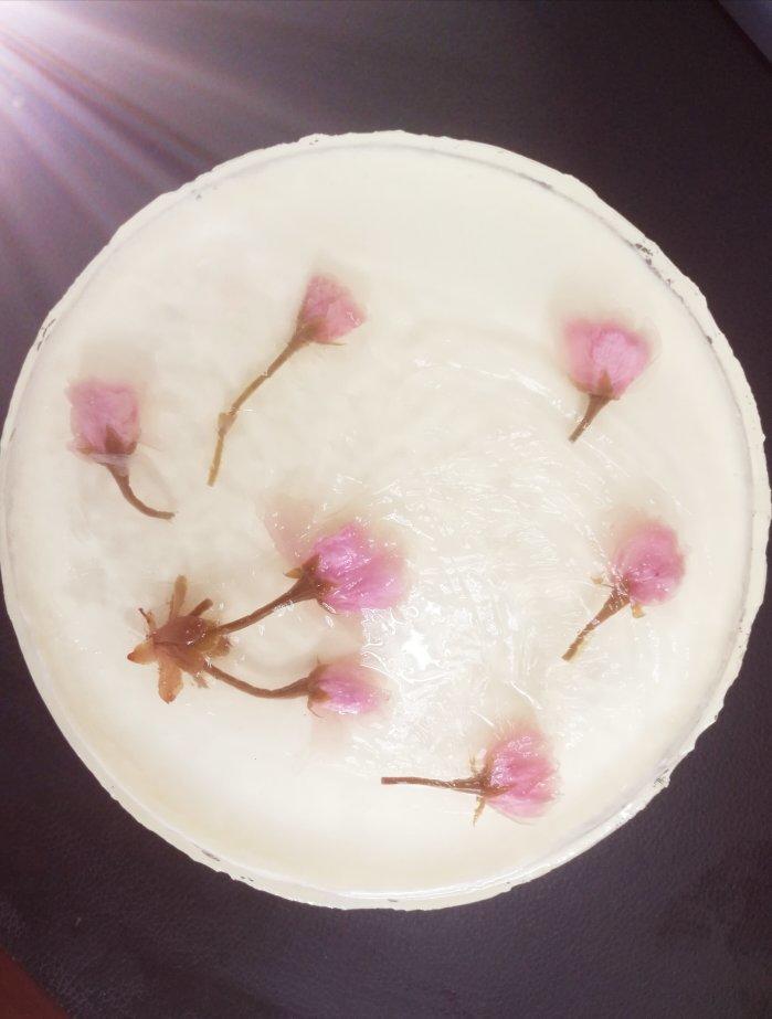 🌸和风樱花酸奶慕斯蛋糕🌸