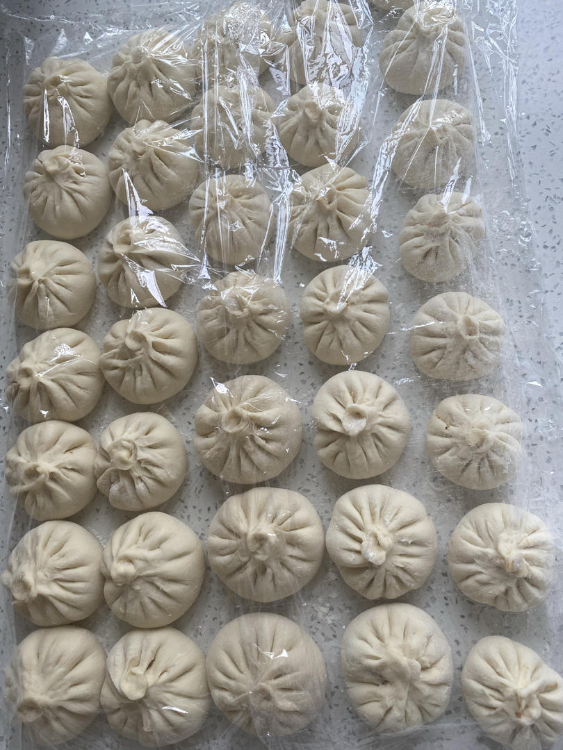 基础肉包做法 Steamed Dumplings