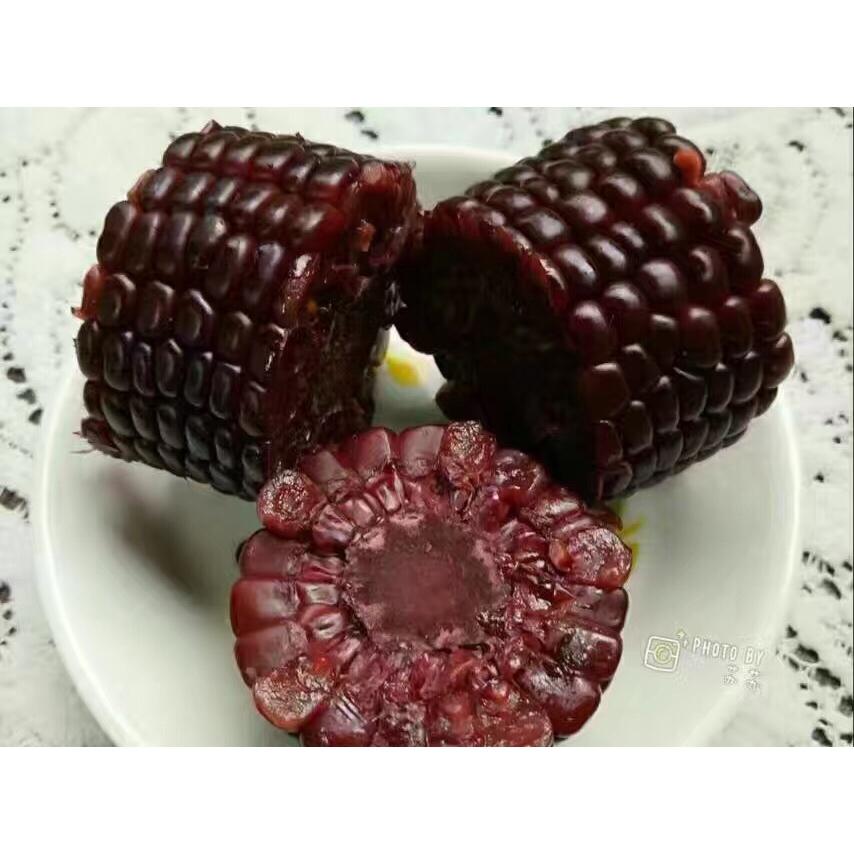 uu姐姐和土豆弟弟做的水煮黑玉米