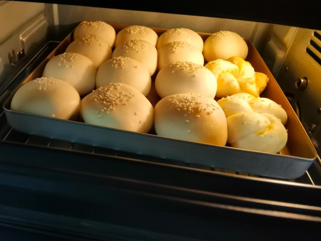 🥛超简单快手，柔软拉丝，一次发酵，牛奶小餐包