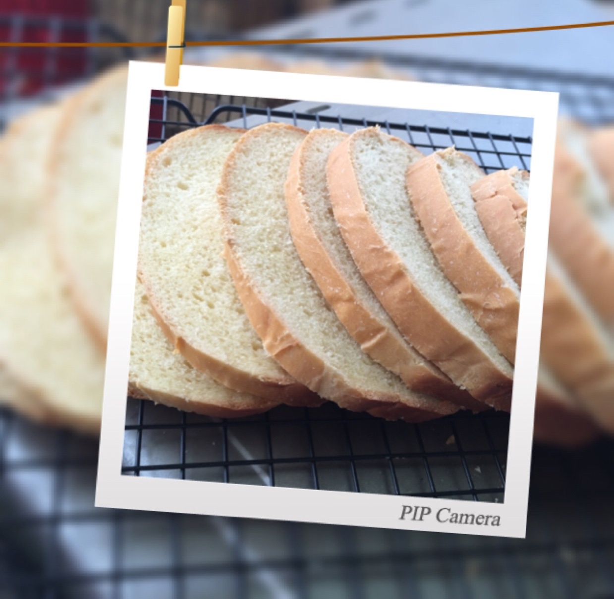 面包机版原味吐司
