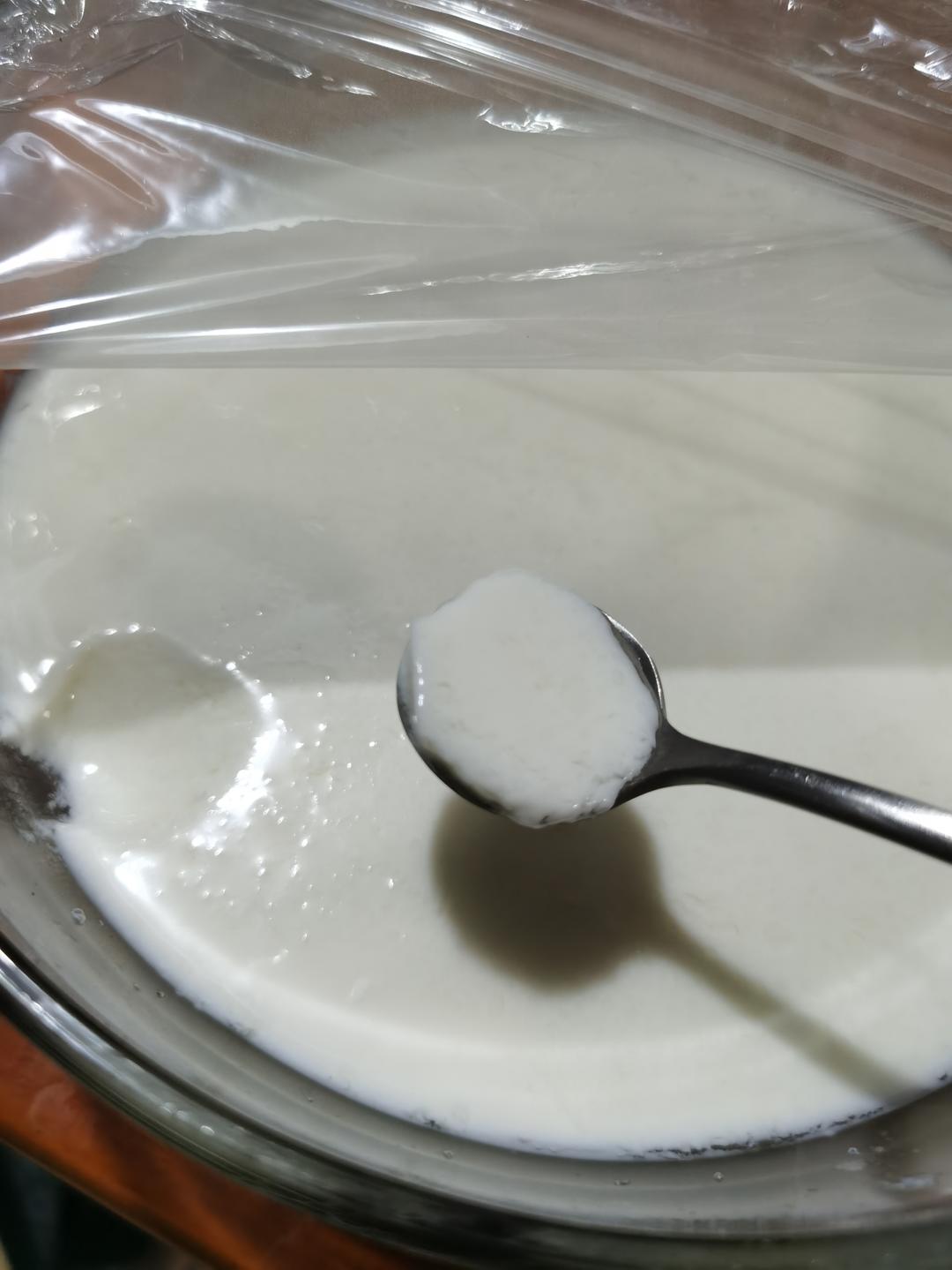 自制酸奶，不需菌粉/酸奶机/烤箱/电饭锅，一条毛巾就好