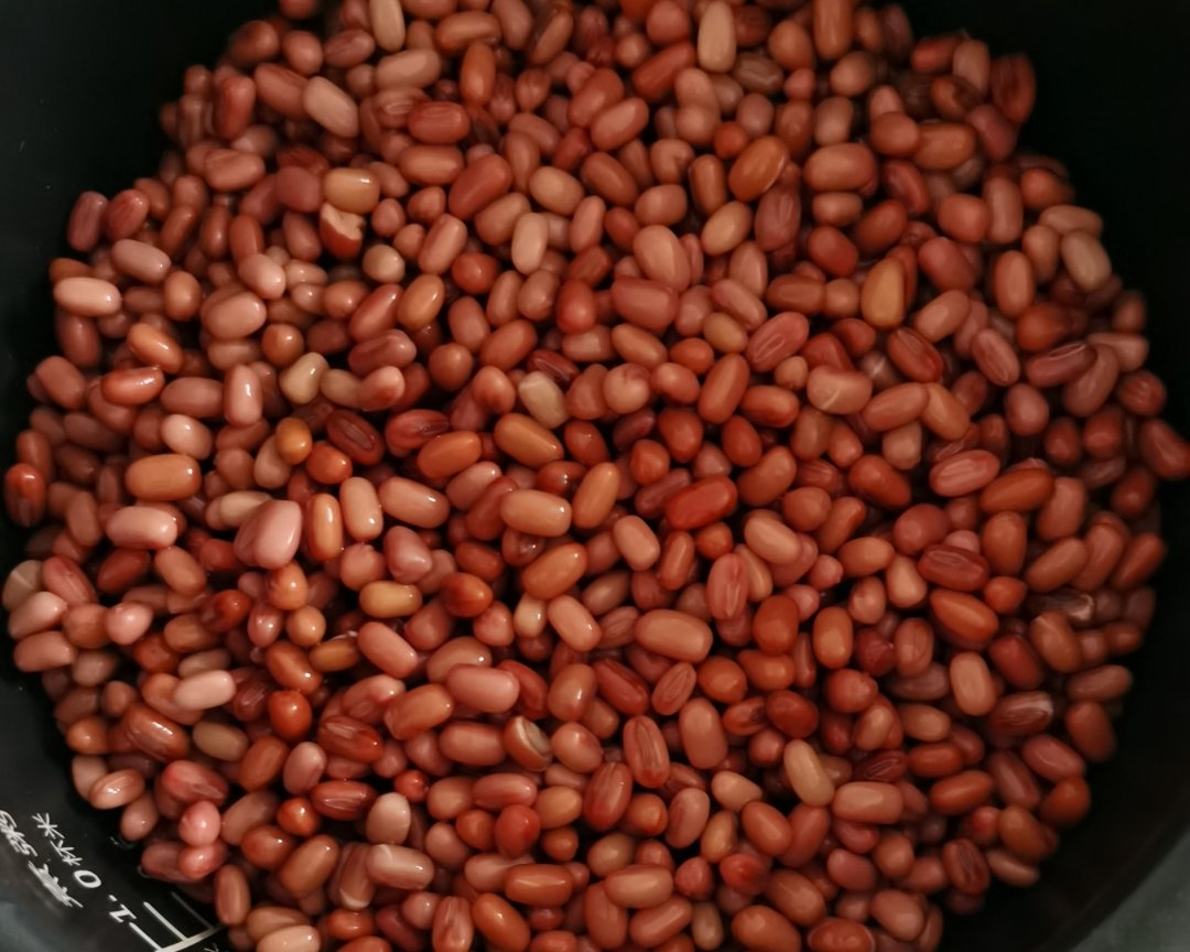 泡红豆