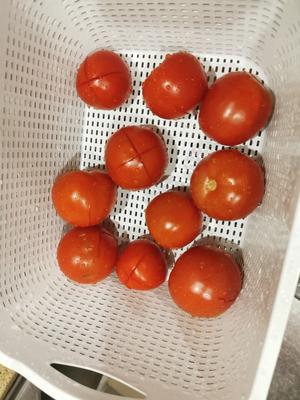 番茄罐头的做法 步骤1
