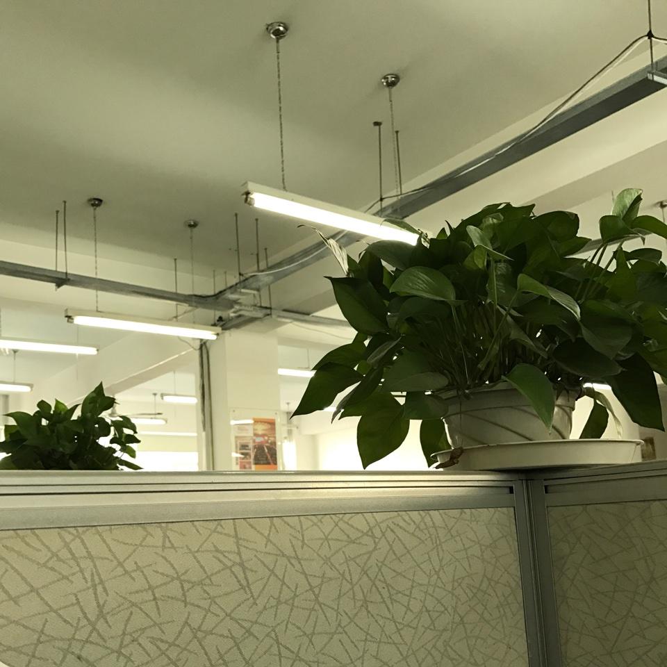 我爱洗澡喔喔喔