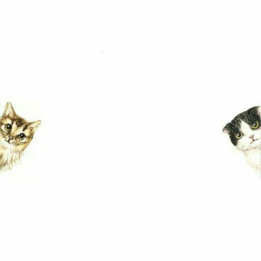 天蝎座精神病一猫小花